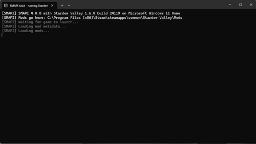 Stardew Valley起動時のSMAPIログ